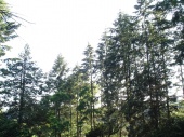 DSC08213.JPG